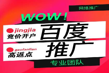 百度推广效果案例解析
